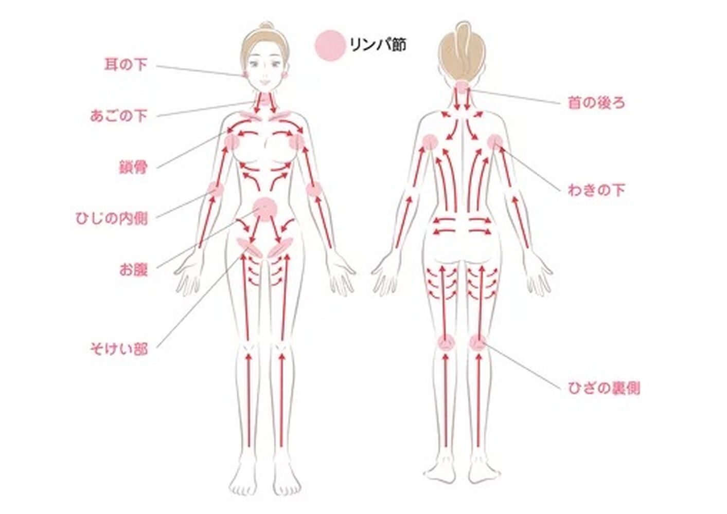 画像2208